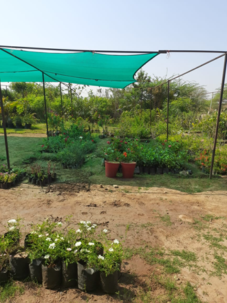 Shahid-Nursery-In-Sagwara