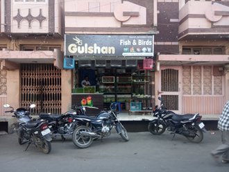 Gulshan-Fish-and-Birds-In-Mandsaur